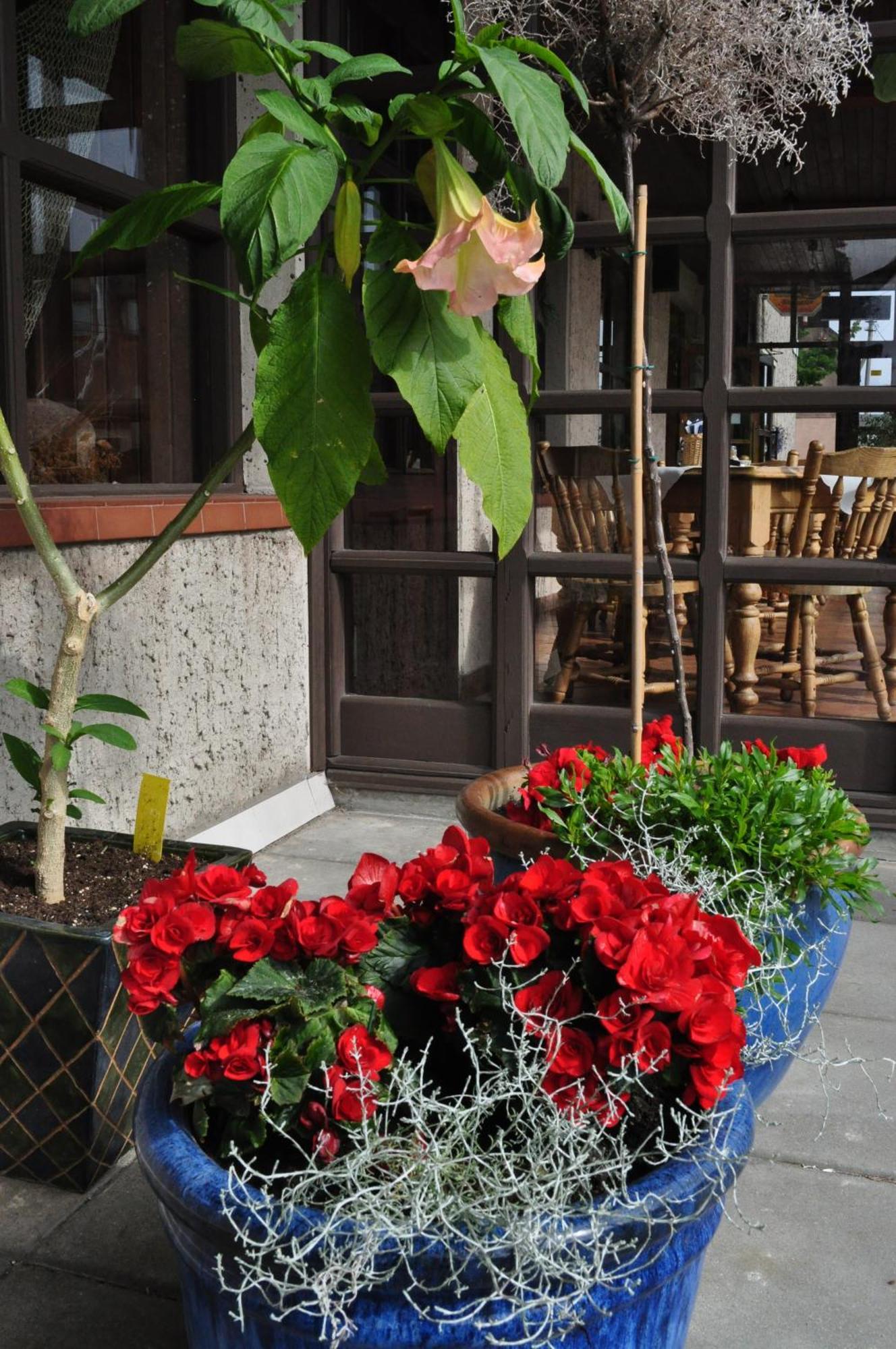 Molo Uzeiga Inn Klaipėda Exterior foto